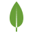 MongoDB icon